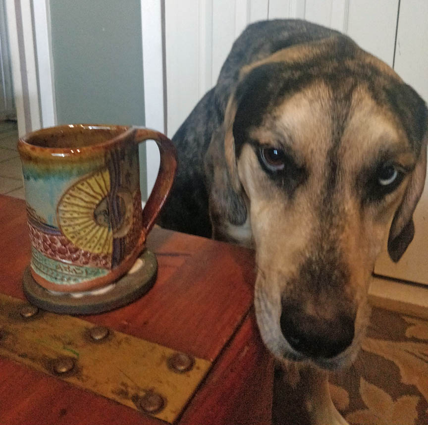 A black, gray and tan hound dog with one blue eye next to a mug with abstract sun design.