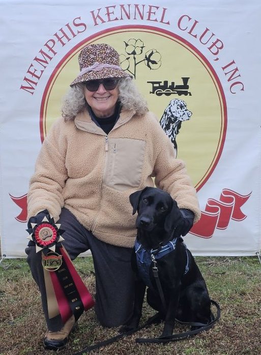 A black labrador and a woman holding a large black red and gold rosette ribbon.